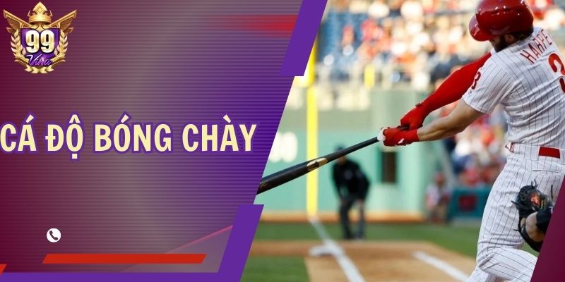 Cá Độ Bóng Chày - Hướng Dẫn Cách Cược Nâng Cao Lợi Nhuận